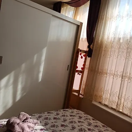 студио ариел