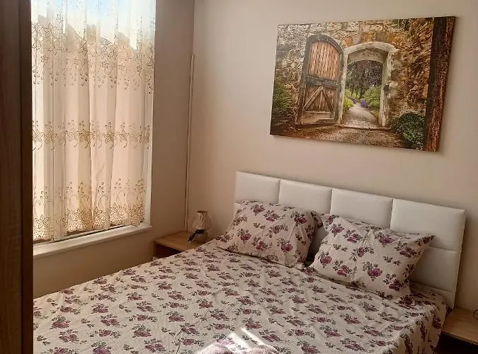 студио ариел