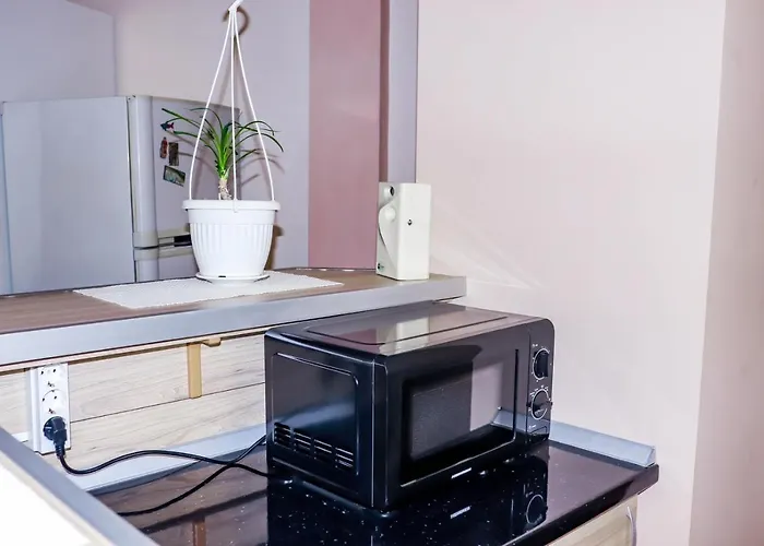 Apartament студио ариел